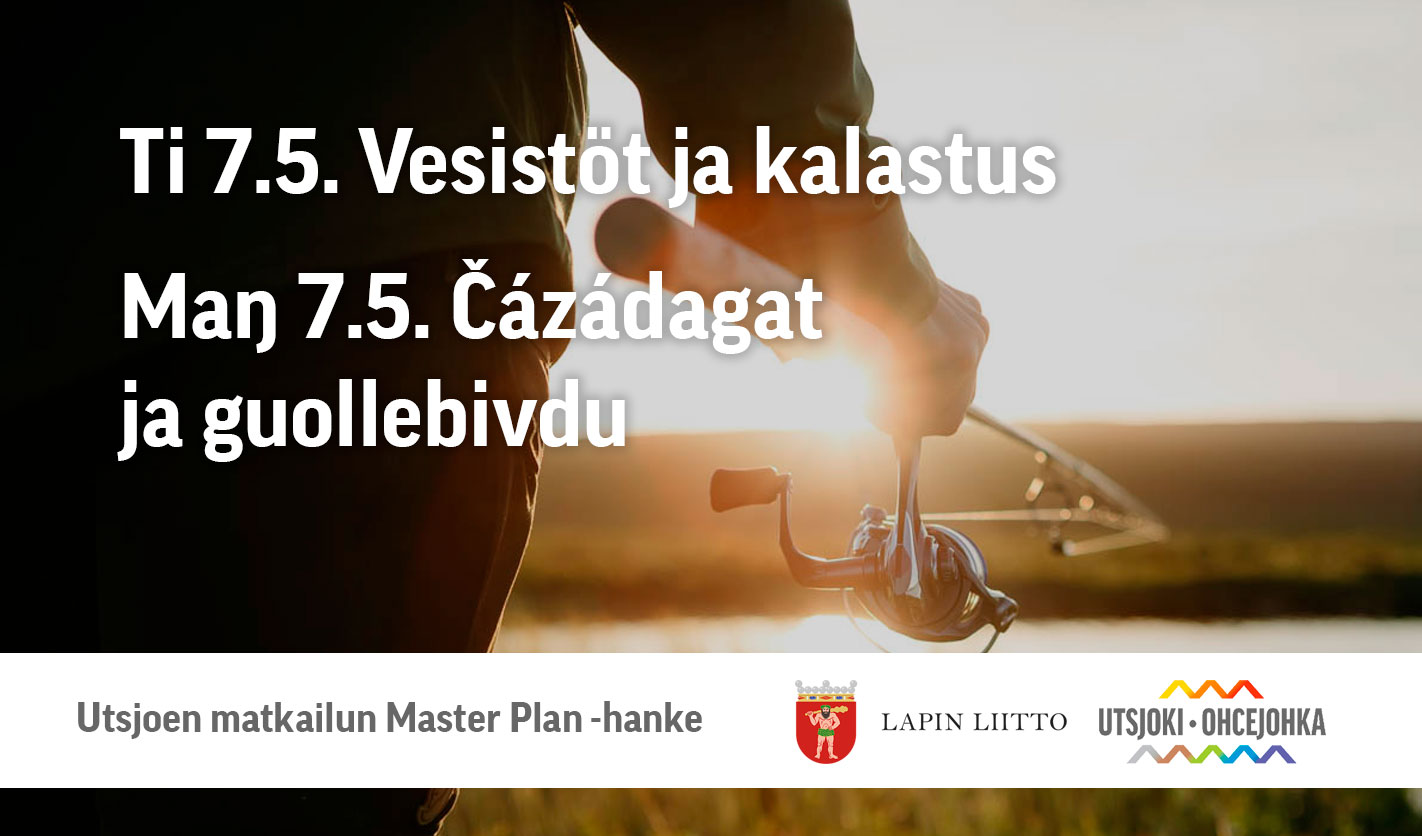 Automaattinen luonnos 13
