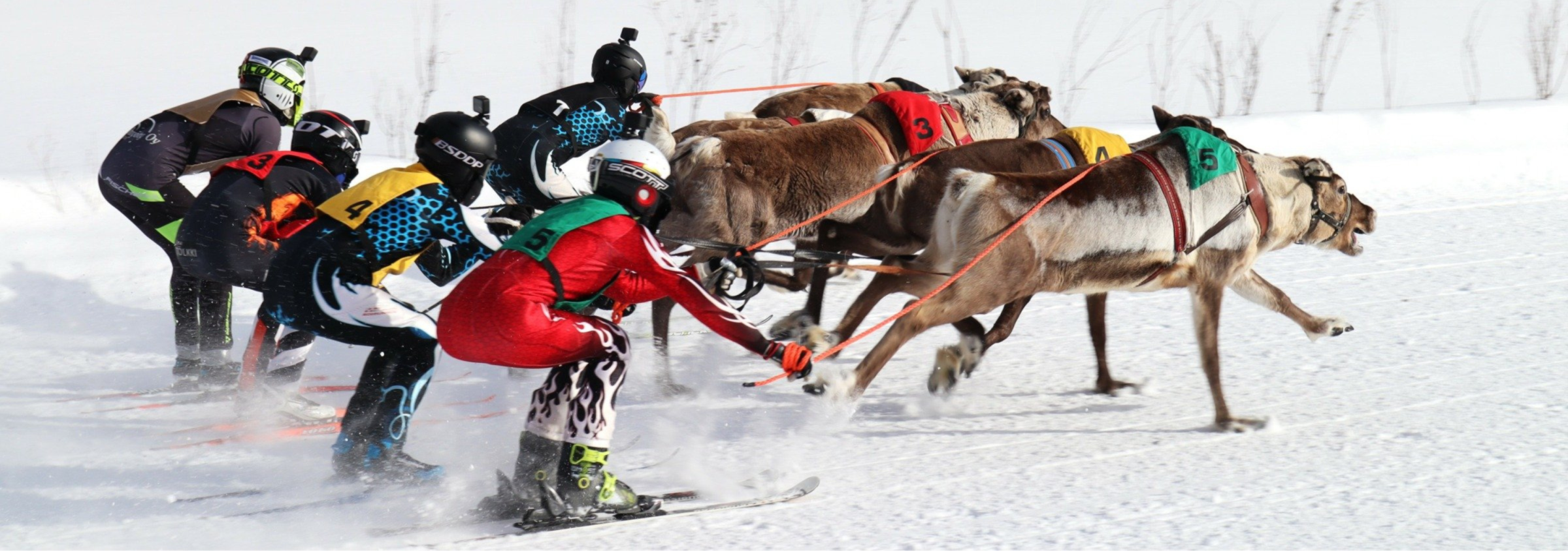 Utsjoen porocup 2025 18