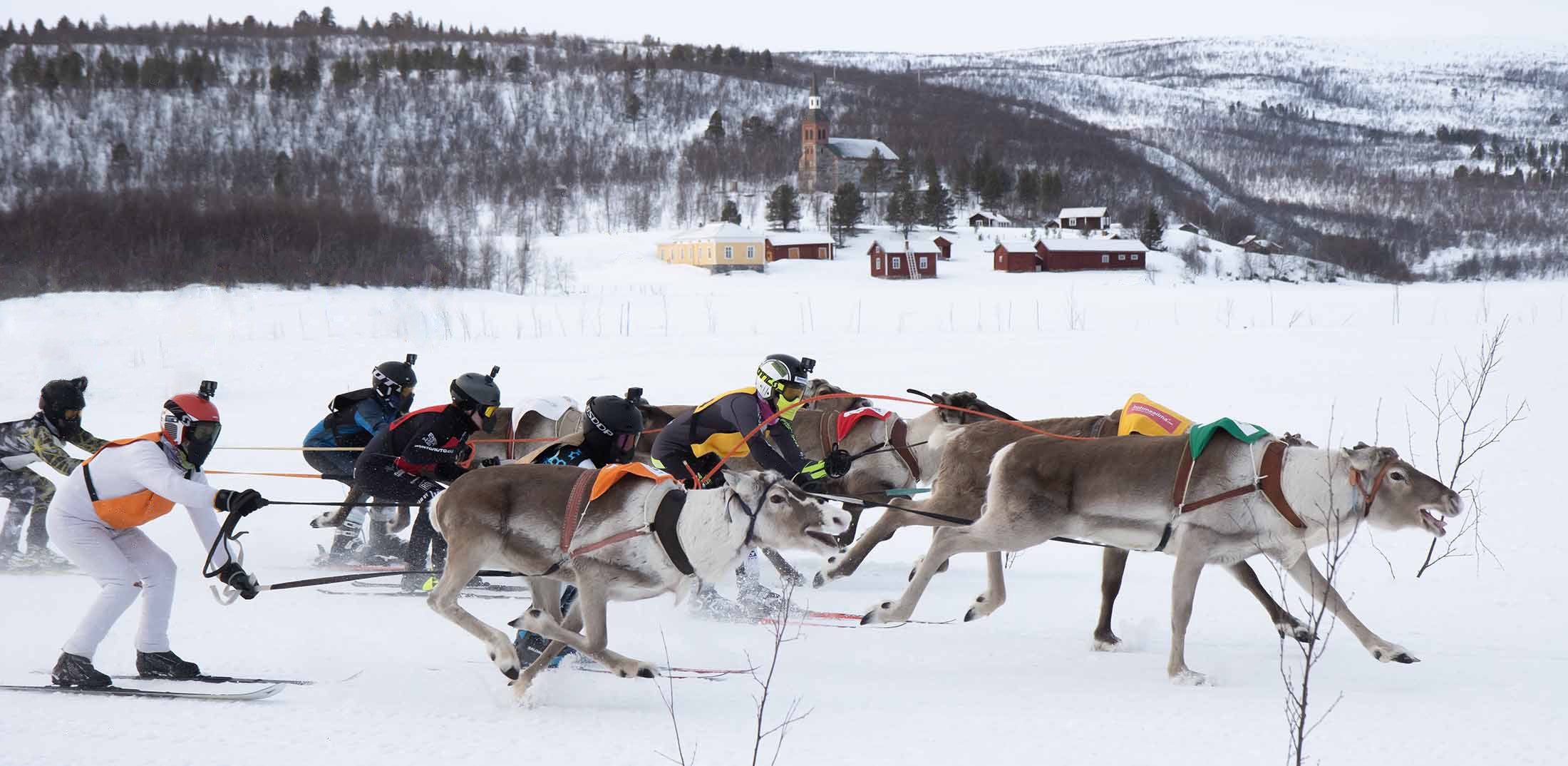 Utsjoen porocup 2026 3