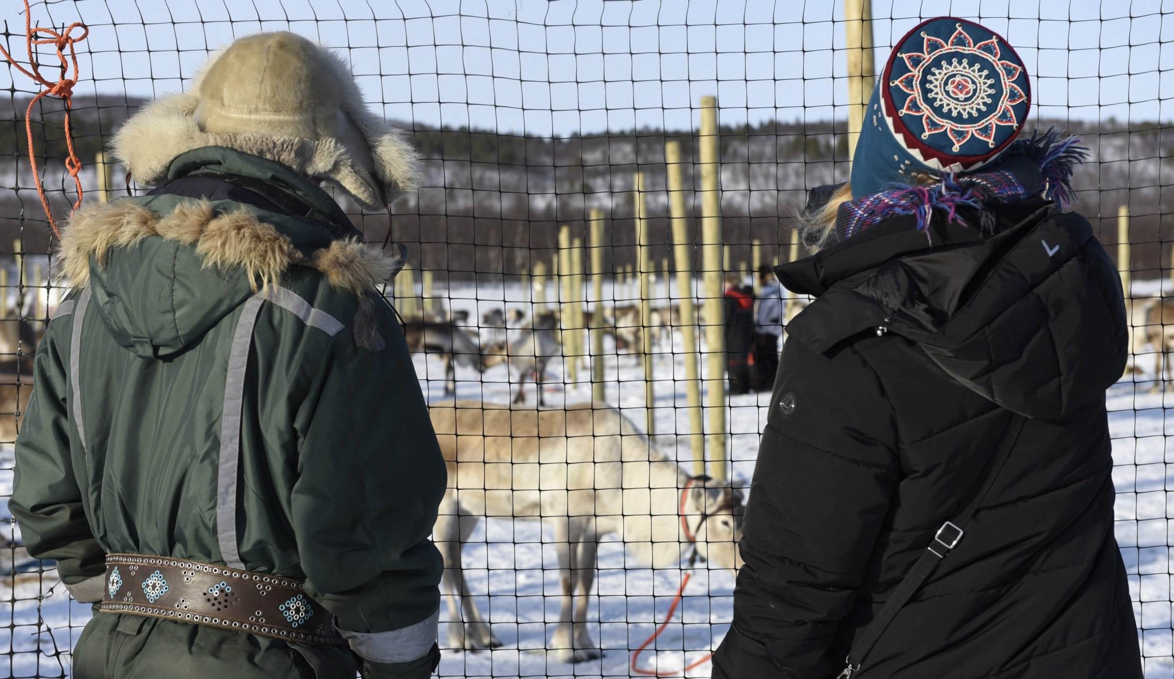 Utsjoen porocup 2026 7