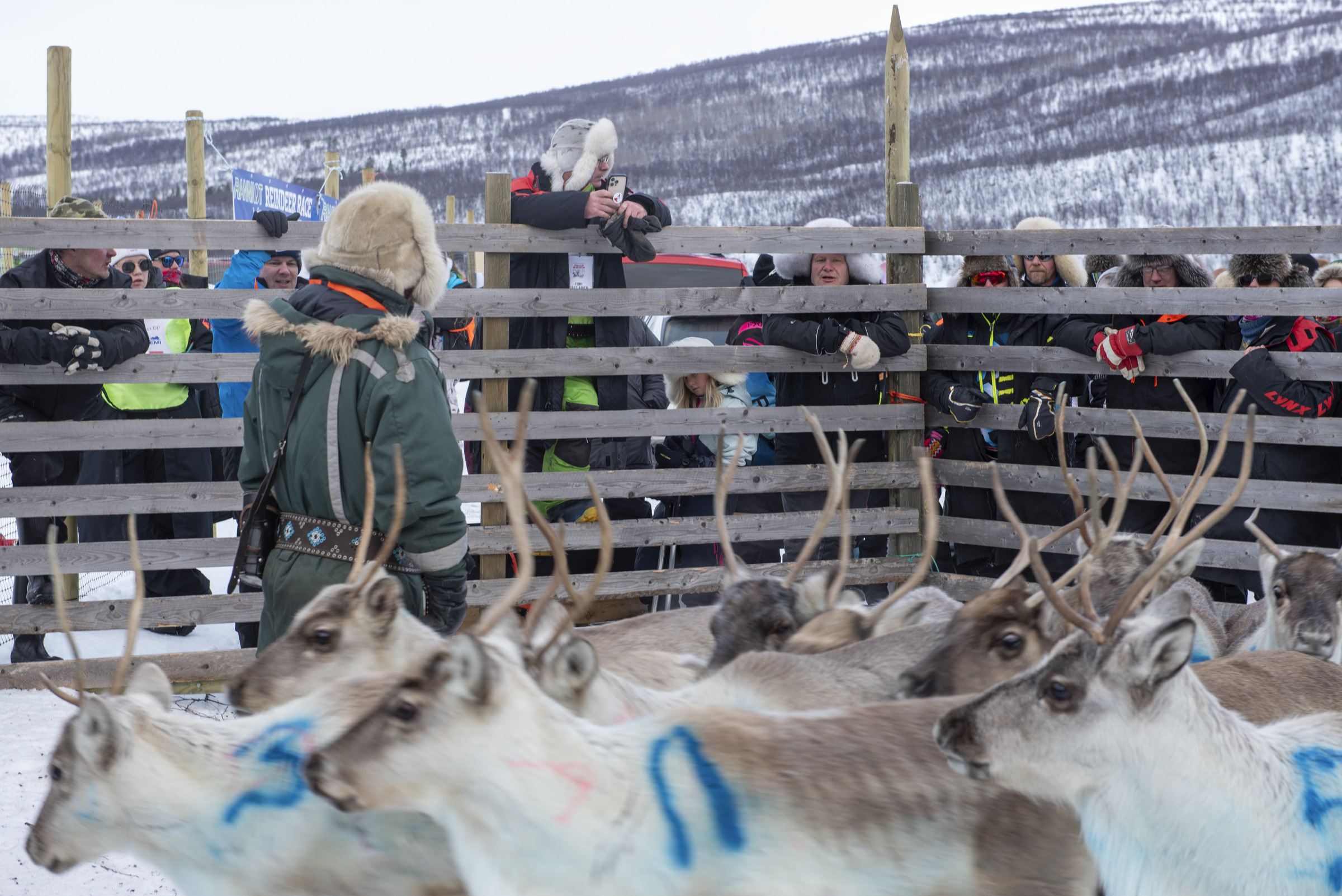 Utsjoen porocup 2026 13