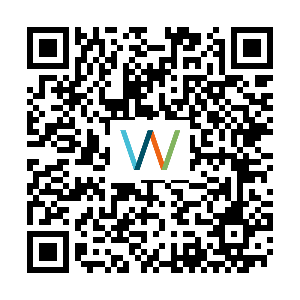 Automaattinen luonnos 21