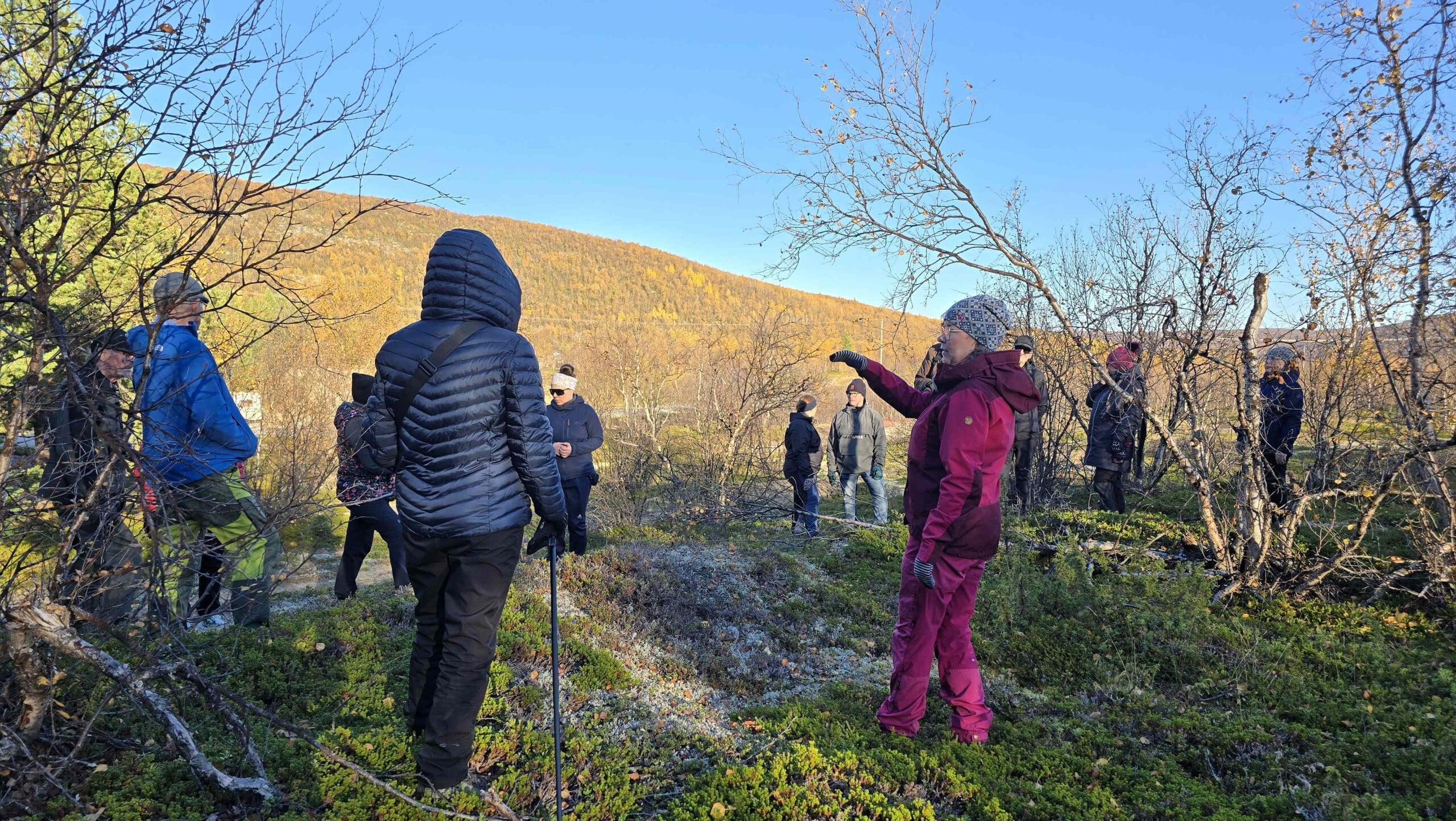 Ihmisiä maastossa, tausalla ruskankeltainen tunturin rinne